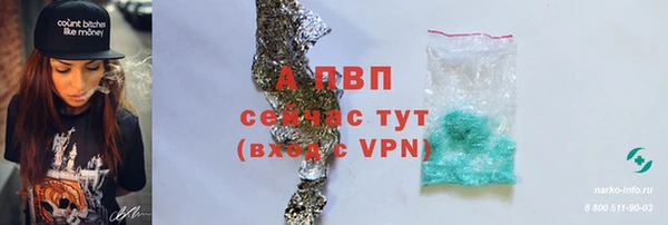 эйфоретик Гусев