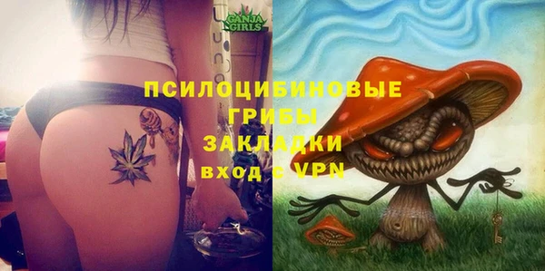 соль ск Горнозаводск